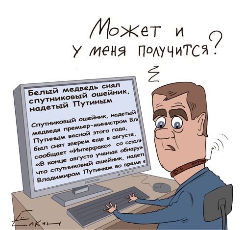 article20401.jpg