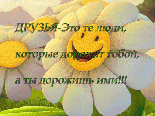 article227681.jpg