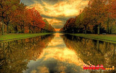 article228064.jpg