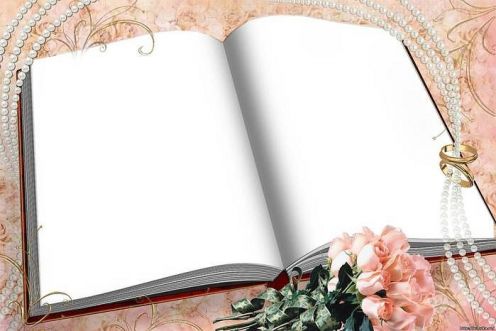 article228280.jpg