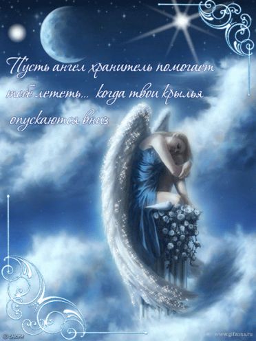 article233461.jpg
