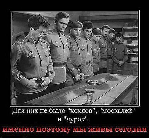 article237536.jpg