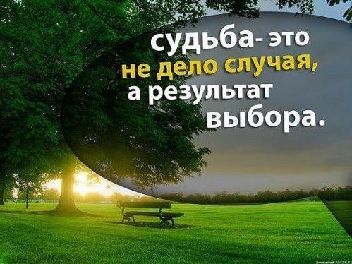 article237545.jpg