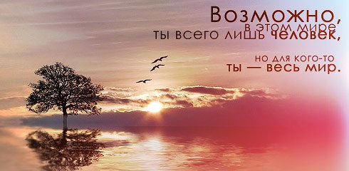 article239341.jpg