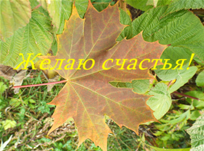 article244077.jpg