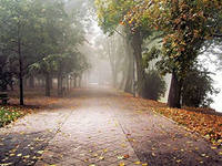 article247129.jpg