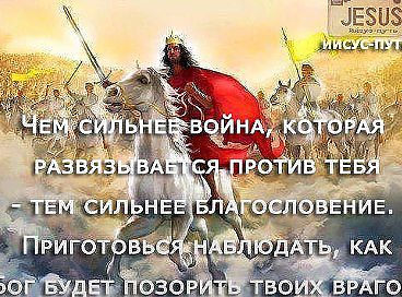 article251683.jpg