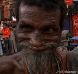 article408859.jpg