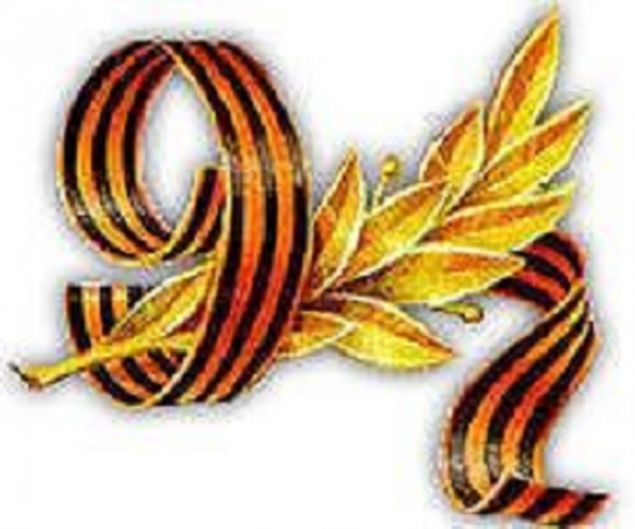 article540059.jpg