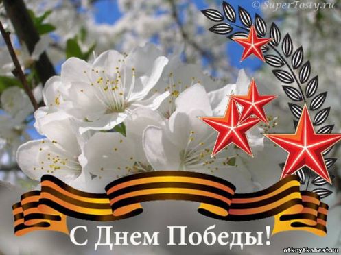 article540119.jpg