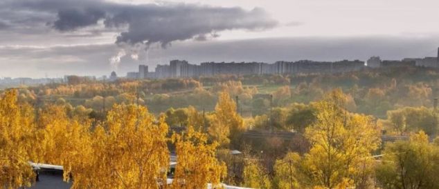 article540124.jpg