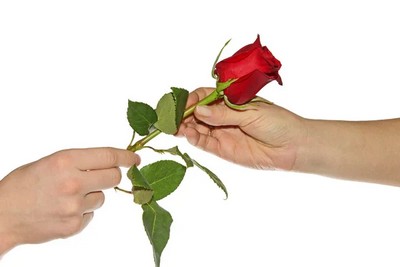 article541103.jpg