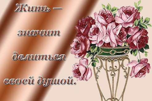 article541773.jpg