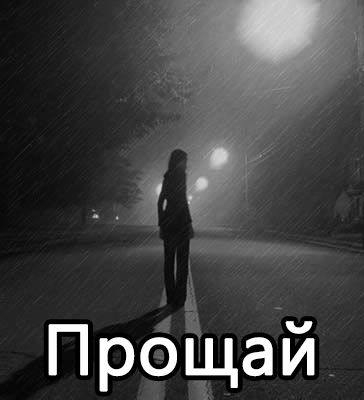 article542131.jpg