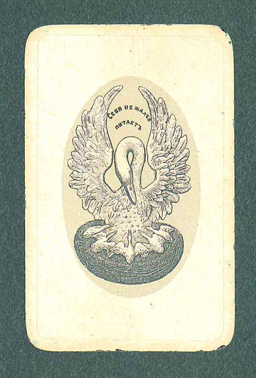 article542141.jpg