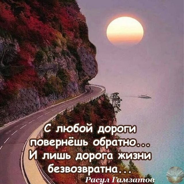article542571.jpg