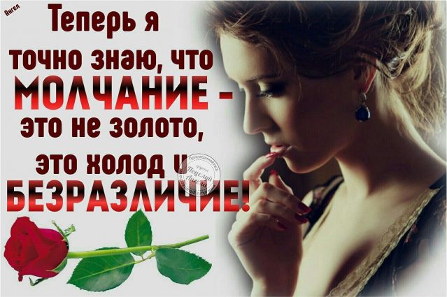 article542954.jpg