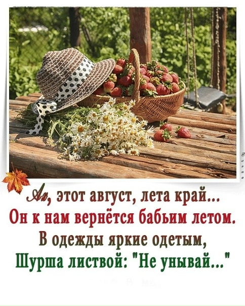 article542976.jpg