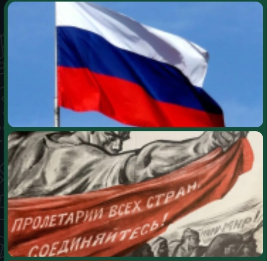article543282.jpg