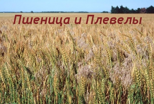 article543317.jpg