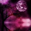   . UNDER A VIOLET MOON