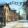 Arbeit macht frei -  .