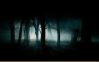   . In The Dark Forest