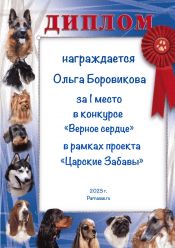 КОНКУРС КОНКУРС