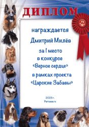 КОНКУРС КОНКУРС