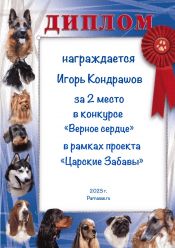 КОНКУРС КОНКУРС