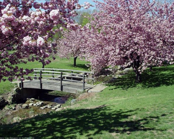 sakura_bridge_flowers_spring_japan_1280x1024_hd-wallpaper-236897.jpg