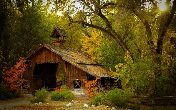 Nature___Seasons___Autumn_House_in_the_autumn_forest_057733_.jpg