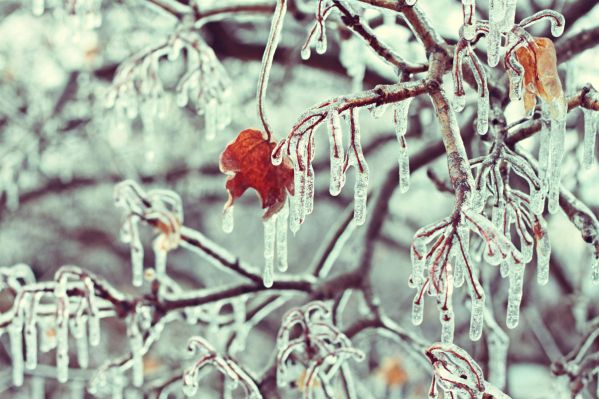 ice-storm-photography-19530663-1200-800.jpg