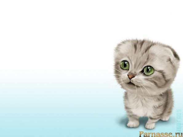 wallpapers_cats_530.jpg