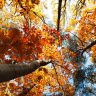 wallpapers-autumn-31.jpg