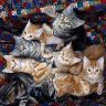 wallpapers_cats_525.jpg