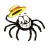 spider hat small.gif